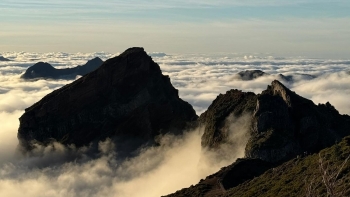 Imagem de Madeira vence o ‘Melhor Destino Insular do Mundo’ pelo 11.º ano consecutivo