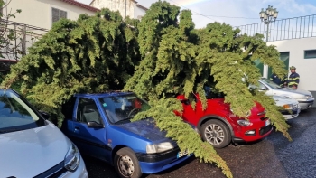 Imagem de Um realojado e 353 ocorrências no balanço da depressão Emília
