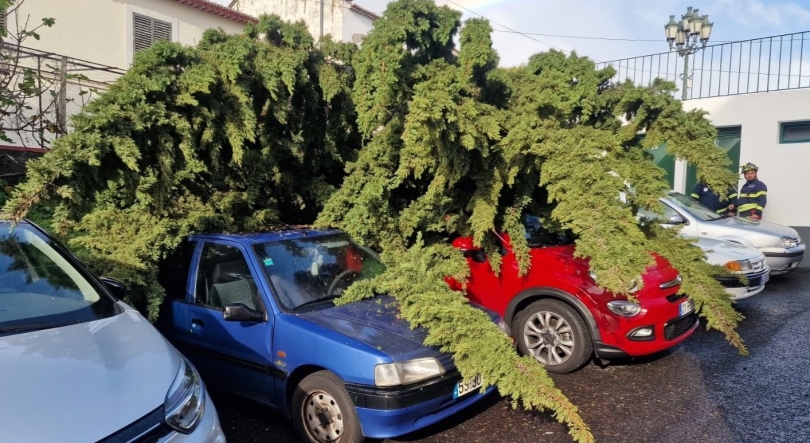 Imagem de Um realojado e 353 ocorrências no balanço da depressão Emília
