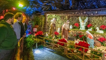 Imagem de Associação Cultural e Recreativa Flor de Cerejeira montou o presépio (áudio)