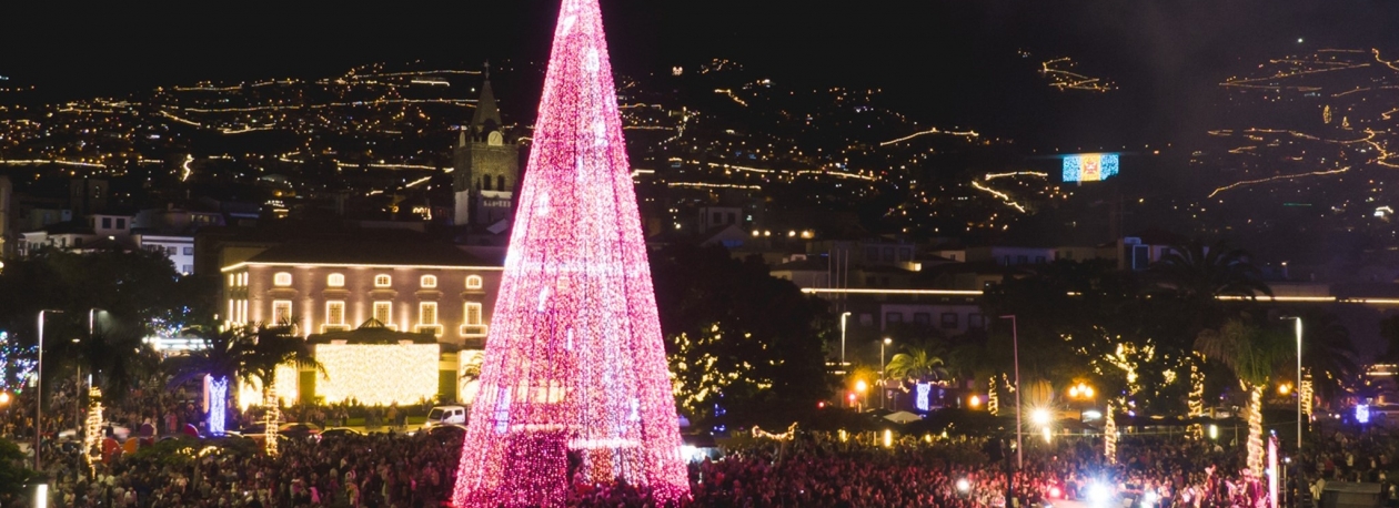 Imagem de Governo Regional dá tolerância de ponto a 23 à tarde, 24, 31 e 2 de janeiro