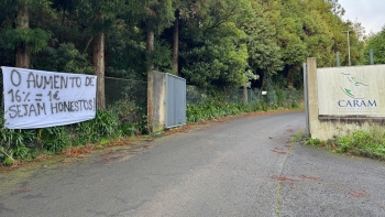 Imagem de Centro de Abate da Madeira não está a funcionar (áudio)