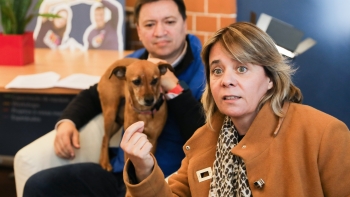 Imagem de Catarina Martins quer combate ao abandono no centro da atividade política