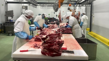 Imagem de Venda de carne aumenta por esta altura (vídeo)