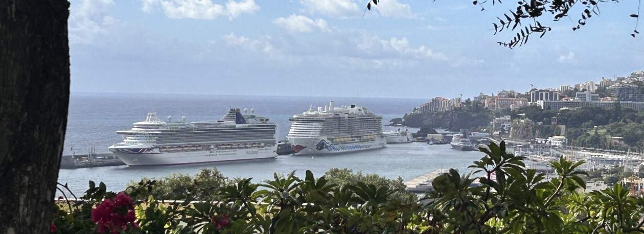 Imagem de Quatro navios de cruzeiro no Funchal