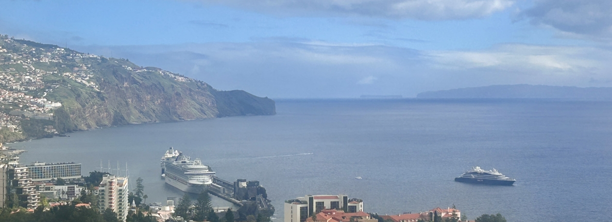 Imagem de Porto do Funchal com quatro navios de cruzeiro