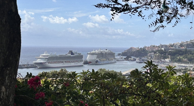 Imagem de Quatro navios de cruzeiro no Funchal