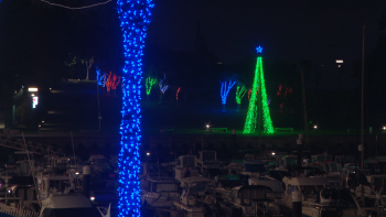 Imagem de Luzes de Natal dão brilho à Calheta (vídeo)