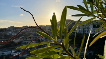 Imagem de Domingo traz uma melhoria no tempo (áudio)