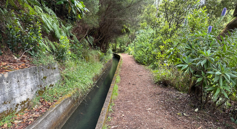 Imagem de Hoteleiros satisfeitos com as novas regras dos percursos recomendados (vídeo)