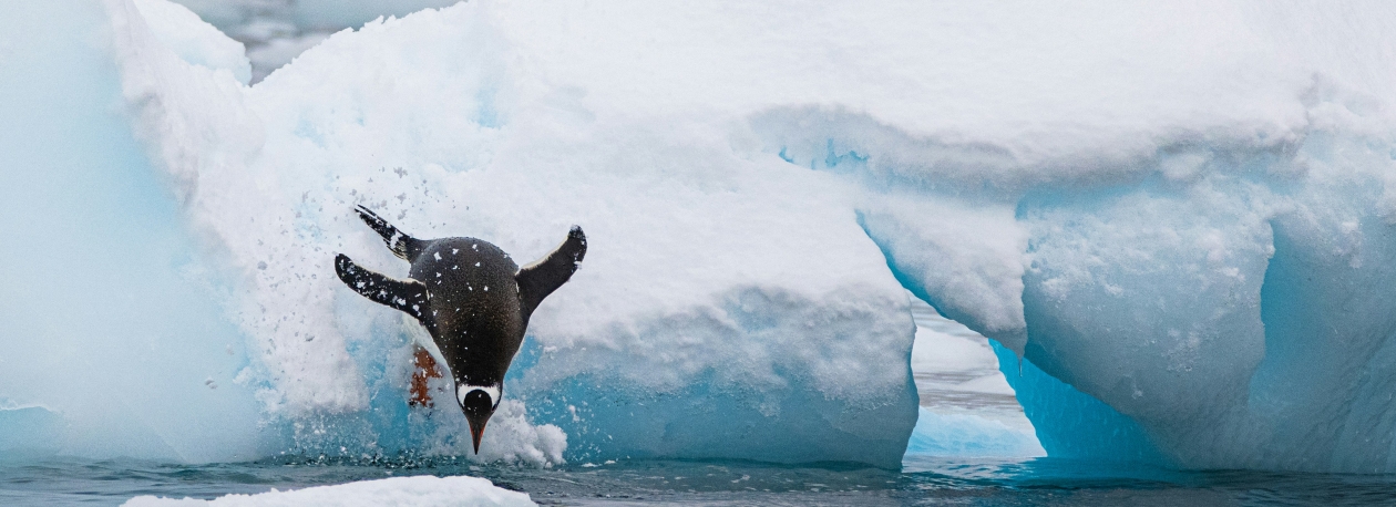 Imagem de Navio da ARDITI em missão na Antártida em 2026 (áudio)