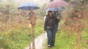 Imagem de Governo Regional vai investir em percursos pedestres (vídeo)