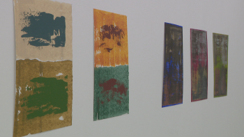 Imagem de Porta 33 expõe pintura de Ana da Silva (vídeo)