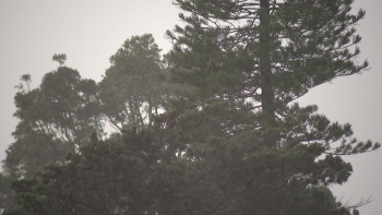 Imagem de Tempestade Emilia já provocou alguns estragos