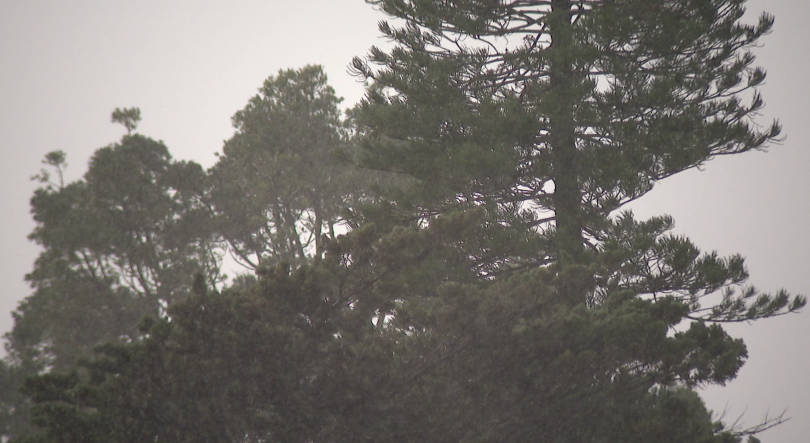 Imagem de Tempestade Emilia já provocou alguns estragos