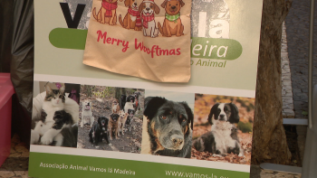 Imagem de Mercado acolheu feira para angariar fundos para a causa animal (vídeo)