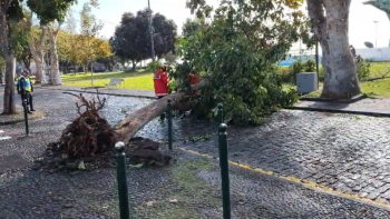 Imagem de Domingo traz melhoria significativa no tempo (áudio)