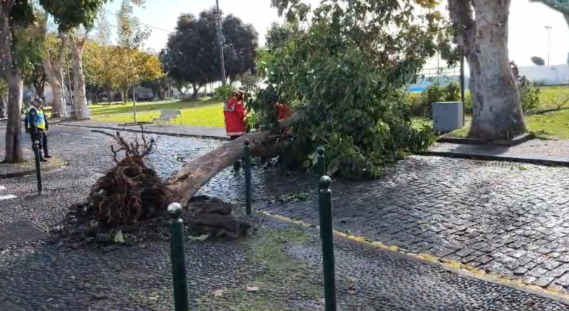 Imagem de Domingo traz melhoria significativa no tempo (áudio)
