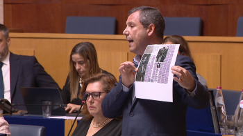 Imagem de JPP propõe um fundo para os agricultores prejudicados (áudio)