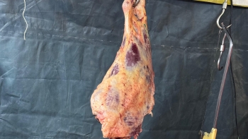 Imagem de Há falta de carne nos talhos (áudio)