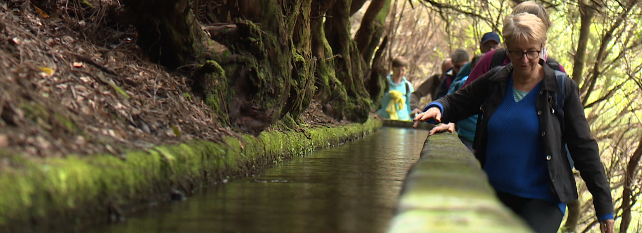 Imagem de Percursos recomendados passam a ser pagos (vídeo)