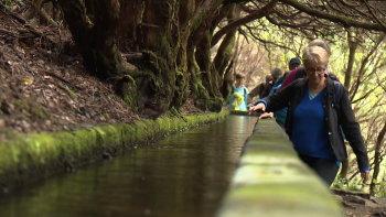 Imagem de Percursos recomendados passam a ser pagos (vídeo)