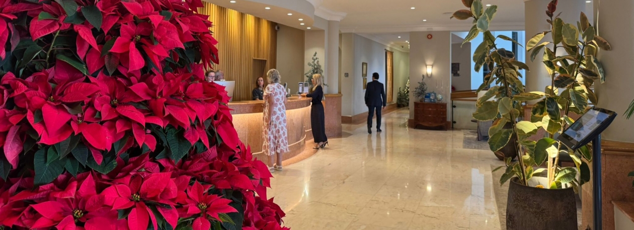 Imagem de Hotéis do Funchal estão praticamente cheios para o fim-de-ano (vídeo)