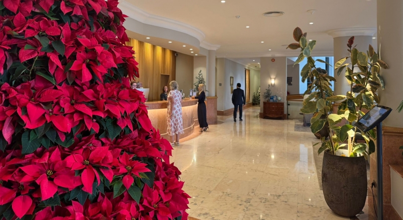 Imagem de Dormidas aproximam-se dos 12,8 milhões em 2025