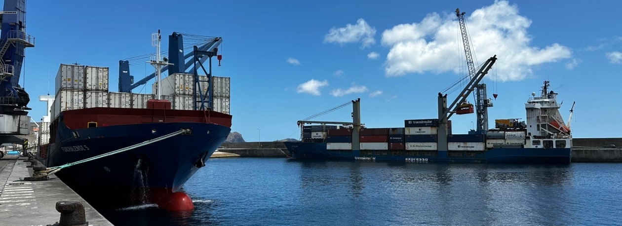 Imagem de Problema informático está a deixar centenas de contentores em terra (vídeo)