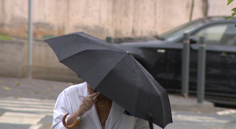 Imagem de 27 quedas de árvores até às 18h00 (áudio)