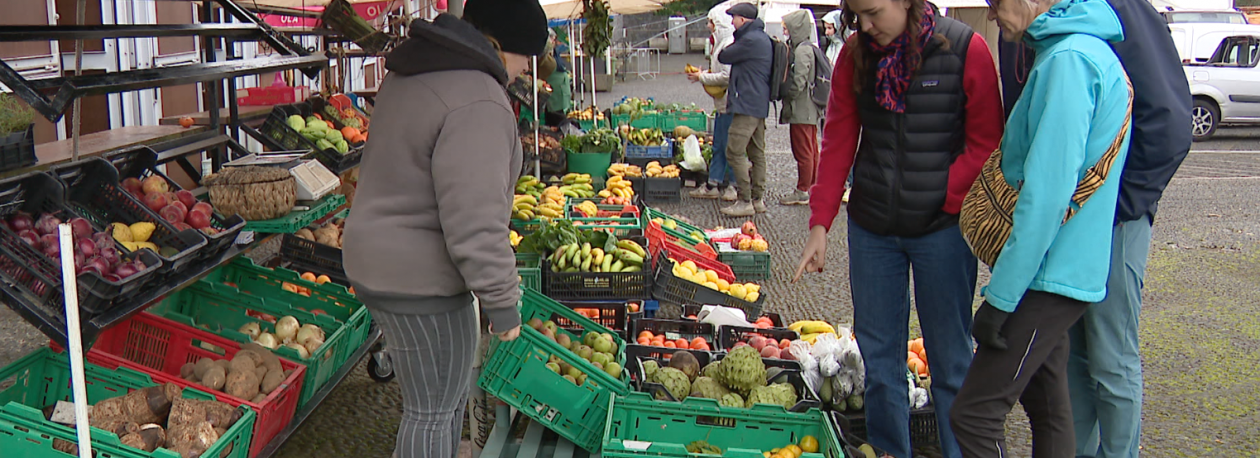 Imagem de Santana está a preparar um novo regulamento para o mercado agrícola (vídeo)