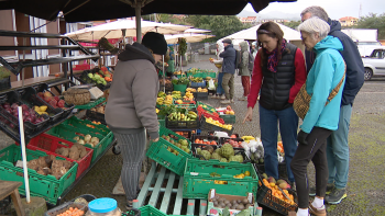 Imagem de Santana está a preparar um novo regulamento para o mercado agrícola (vídeo)