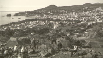 Imagem de “Realismo Fantástico” é a nova exposição de Rosângela Rennó (vídeo)