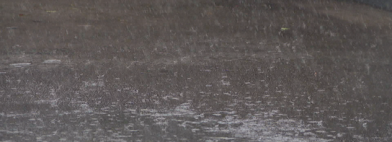 Imagem de Chuva deverá marcar presença na Noite do Mercado do Funchal (vídeo)