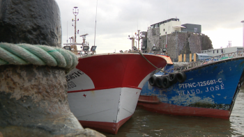 Imagem de Quota peixe-espada-preto assegurada, atum-rabilho aumentou 17% (áudio)