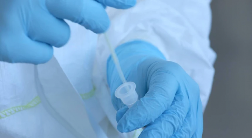 Imagem de Cientistas implantam com sucesso um embrião num endométrio artificial