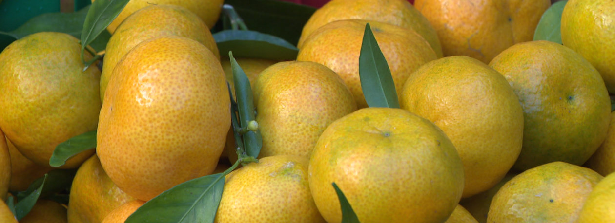 Imagem de Mercado dos Lavradores com muita afluência para as compras de natal (vídeo)