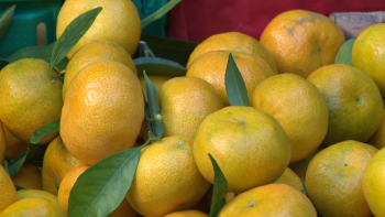 Imagem de Mercado dos Lavradores com muita afluência para as compras de natal (vídeo)