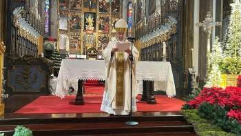Imagem de Bispo do Funchal diz que a guerra envergonha a humanidade (vídeo)