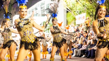 Imagem de Elevado número de participantes levou à divisão do Cortejo da Flor (áudio)
