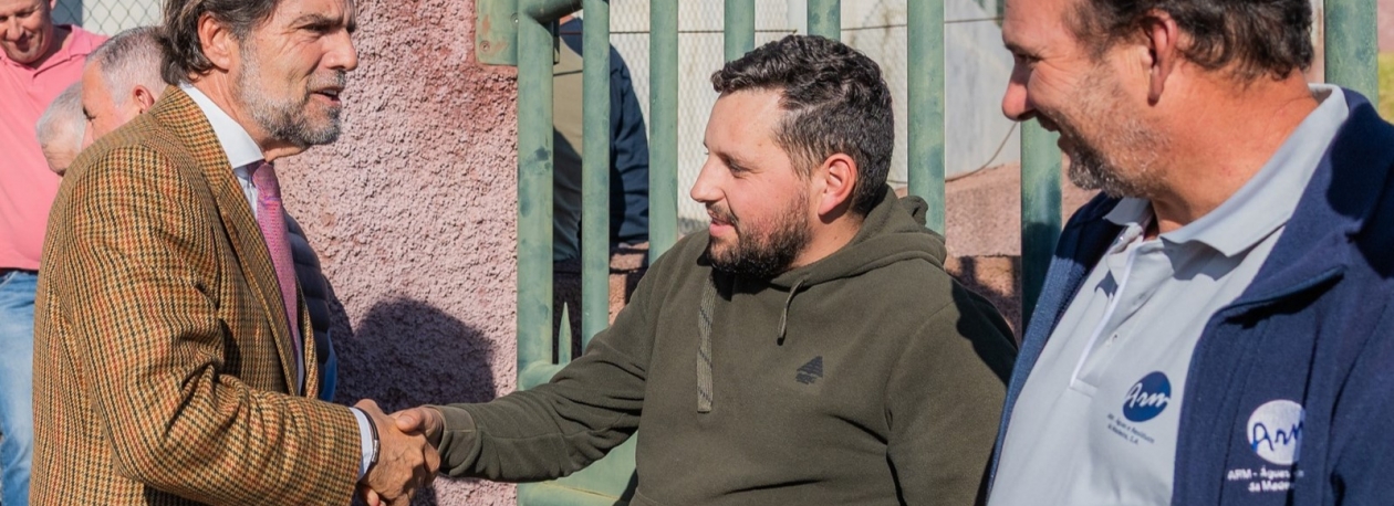 Imagem de Albuquerque adapta sugestão caso ganhe Seguro ou caso ganhe Ventura (áudio)