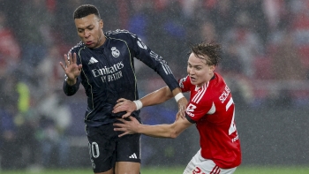 Imagem de Benfica reencontra Real Madrid no play-off de acesso aos oitavos de final