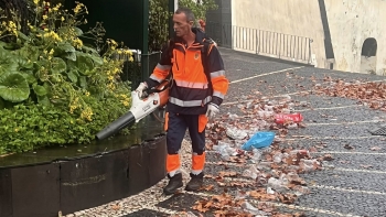 Imagem de CMF recolhe 14 toneladas de resíduos