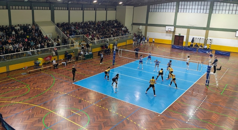 Imagem de FC Porto não deu hipóteses ao CE Levada