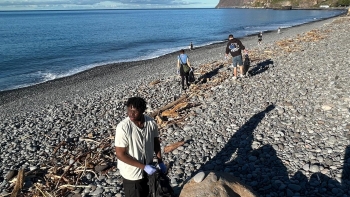 Imagem de 22 voluntários de várias nacionalidades reuniram-se para uma ação de limpeza (vídeo)