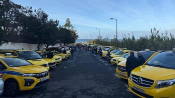 Imagem de Taxistas juntaram-se para ‘Buzinão’ no Funchal (vídeo)