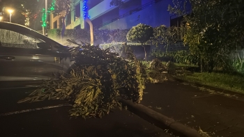 Imagem de Depressão Joseph vai afetar a Madeira na terça-feira