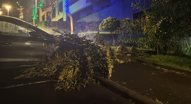 Imagem de Depressão Joseph vai afetar a Madeira na terça-feira