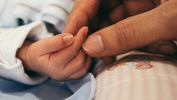 Imagem de Madeira contraria a tendência nacional de aumento do número de nascimentos (áudio)