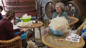 Imagem de IVBAM promove curso para fazer ‘Barrete de Orelhas’ (vídeo)
